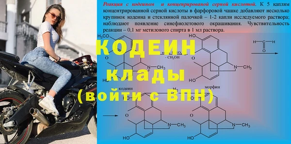 альфа пвп Новодвинск
