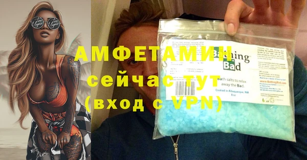 a pvp Новозыбков