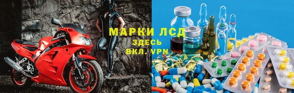 a pvp Новозыбков