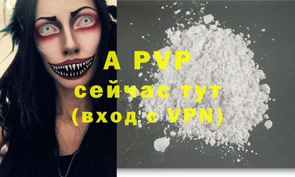 a pvp Новозыбков